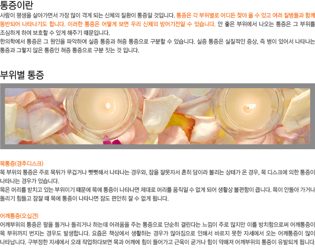 �����̶�? ����������-������(���ߵ�ũ),�������(���ʰ�)